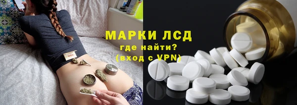 мяу мяу мука Аркадак