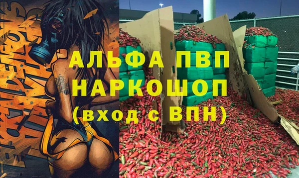 спайс Алзамай