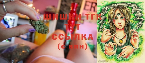 спайс Алзамай