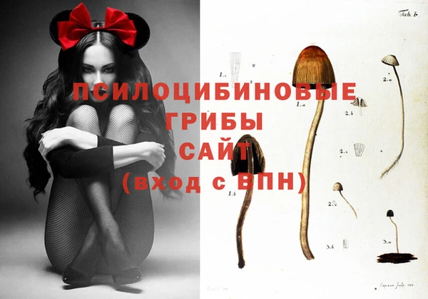 Альфа ПВП Липки