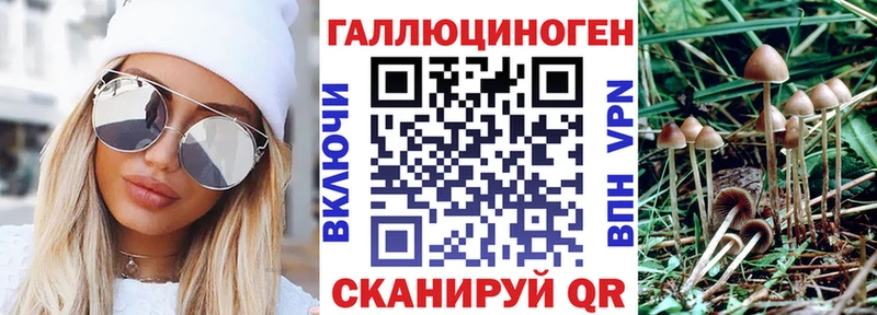 Псилоцибиновые грибы прущие грибы  блэк спрут ссылка  Полесск 