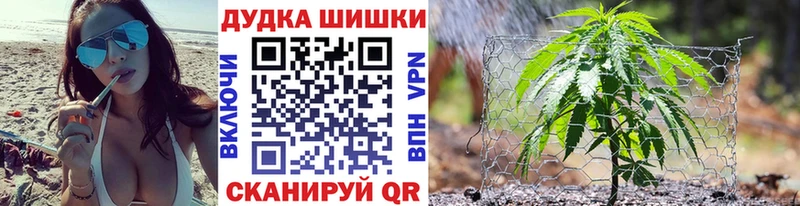 Бошки Шишки планчик  площадка какой сайт  Полесск 